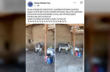 Kırsal mahalledeki başıboş eşek merak konusu 