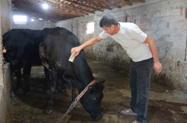‘ Kırsalda Bereket Hayvancılığa Destek’ projesi ilk meyvesini verdi 