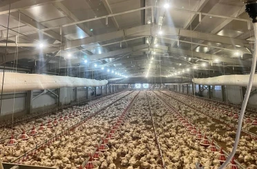 Kırsalda üretime 33,6 milyon liralık can suyu 