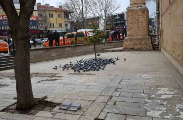 Kırşehir’de tarihi Kapucu Camii güvercinlerin yuvası oldu 