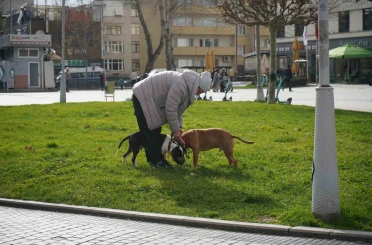 Kış ortasında sonbahar havası 