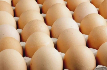 Kişi başına düşen yumurta üretimi 15 adet azaldı 