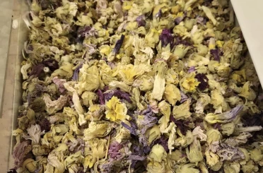 Kışın favorisi: Zencefil, propolisli macun, kara mürver ve karadut pekmezleri 