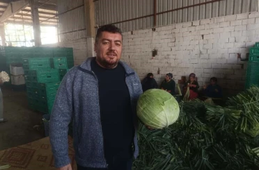 Kışlık ürünlerde hasat başladı 