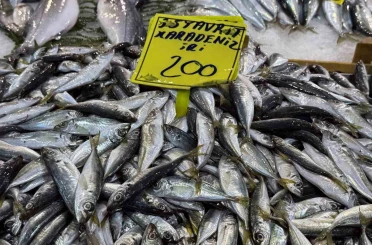 Kocaeli’de balık tezgahlarındaki son durum 