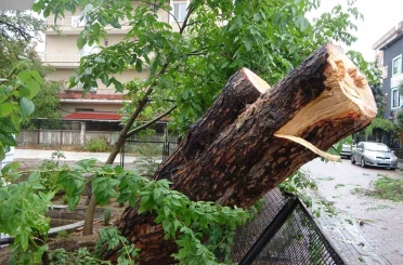 Kocaeli’de sağanak: Yıldırım evin çatısına düştü 