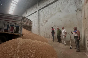 Koçarlı’da ilk hububat alımı gerçekleştirildi 