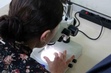 Kolorektal kanser tedavisi için yeni umut 