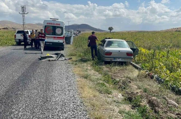 Komşudan kardeşlere kanlı pusu: 2 ölü