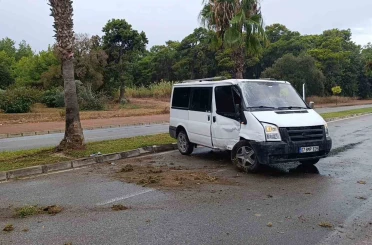 Kontrolden çıkan kamyonet palmiye ağacına çarptı: Kaza anı kamerada 