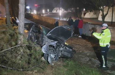 Kontrolden çıkan otomobil, direk ve ağaçlara çarptı: 1 yaralı 