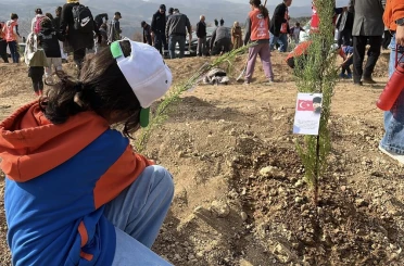 Konya'da 33 bin 811 fidan toprakla buluştu