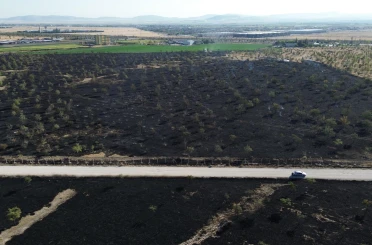 Konya’da ağaçlık 150 dekar alan kül oldu