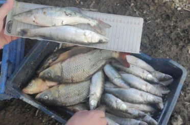 Konya’da balık avına sıkı denetim!