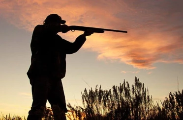 Konya’da çiftçinin baş belası için sürek avı başlıyor