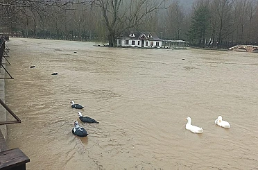 Konya'da yağış sonrası sel dereleri taşırdı