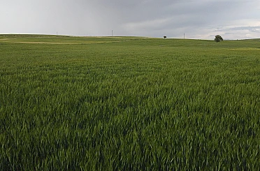 Konya’da yüksek kesimler yağışa doydu