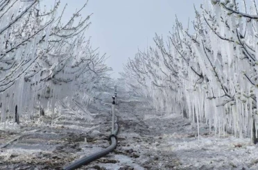 Konya için korkulan tahmin! Yağış ve don kapıda