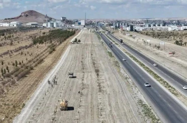 Konya’nın Kurak İlçesinde Yeşeren Umut: 6 Bin Can Toprağa Emanet
