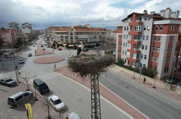 Konya'nın leylekleri direkteki yuvalarına geldi
