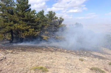 Konya’nın ünlü piknik alanında orman yangını çıktı