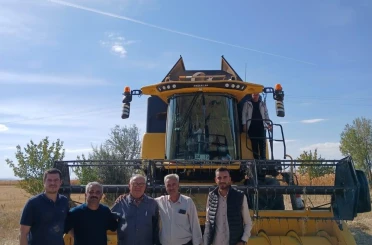 Konya Ovası’nda kenevir hasadı