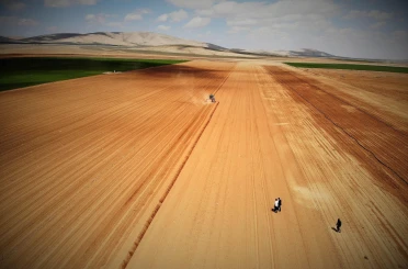 Konya Ovası'nda yağışlar rekolte beklentisini arttırdı