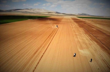 Konya Ovası’nda yağışlar rekolte beklentisini arttırdı