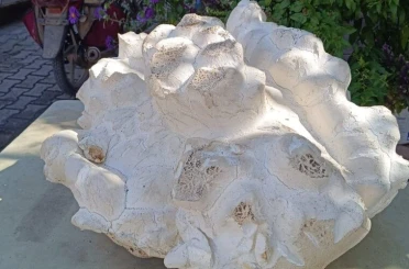 Konya yaylasında görülmemiş manzara