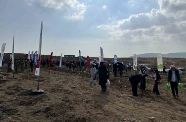 Konya’da 33 bin 811 fidan toprakla buluştu 