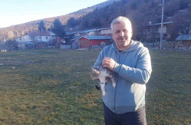 Konya’da aç kalan kediler için 30 kilometre yol gitti 