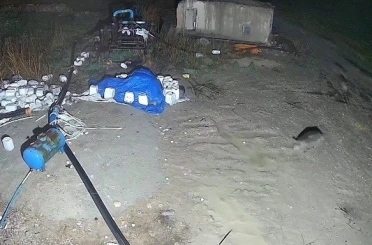 Konya’da domuz sürüsü yerleşim alanına indi