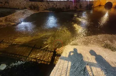 Konya’da su samuru sürprizi