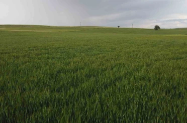 Konya’da yüksek kesimler yağışa doydu 