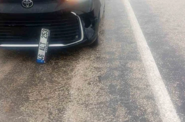 Köpeğe çarpan araç kaza yaptı: maddi hasar oluştu 