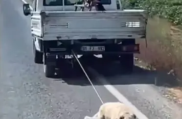Köpeği kamyonetin arkasına bağlayıp sürükleyerek götürdü
