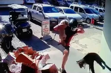 Köpeğiyle kavga eden kediyi tekmeyle metrelerce havaya fırlattı 