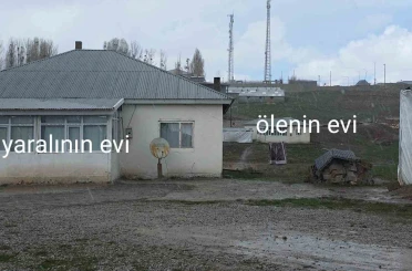 Köpek dehşetinin görüntüleri ortaya çıktı 