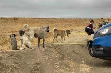 Köpek tartışmasında komşusunu öldüren zanlı tutuklandı 