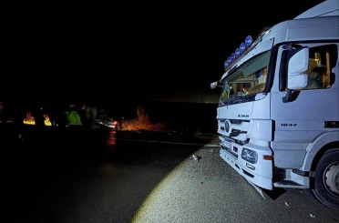 Köpekler nedeniyle otoyolda can pazarı 