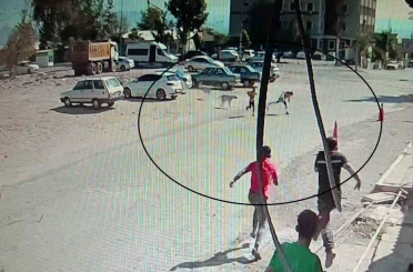 Köpeklerden kaçarken yere yığılan çocukların yardımına vatandaşlar yetişti 
