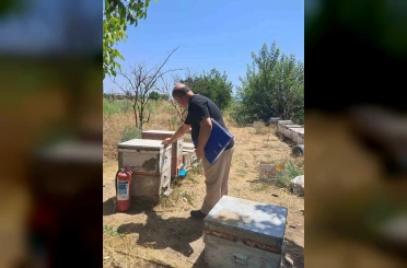 Köşk’te arılı kovan tespit çalışmaları sürüyor 