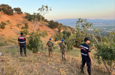Köşk’te jandarmadan incir nöbeti 