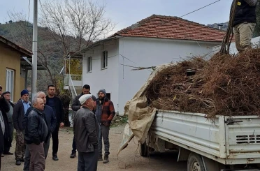 Köşk’te köklü kestane fidanları üreticilere dağıtıldı 
