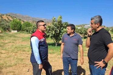 Köşk’te tarımsal zararlılarla mücadele için sahaya indiler 