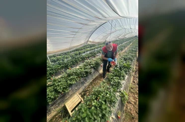 Köşk’ten Sultanhisar’a çapraz denetim 