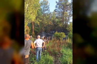 Köyceğiz’de ormanlık alana sıçrayan yangın kısa sürede söndürüldü 