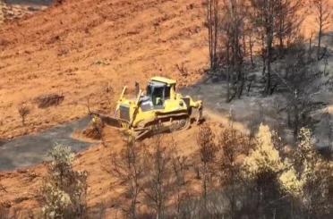 Köyceğiz’de yanan alanlara ilk fidanlar 11 Kasım’da toprakla buluşacak 