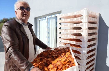 Köyde kurulan tesisle kurutulan cennet hurmaları Almanya’ya ihraç edildi 