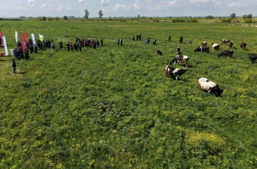 Kozan’da ıslah edilen mera alanı dualarla açıldı, sürüler alanda otlamaya başladı 